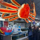 마산-진전-전-비-8 | 마산 어시장 대게 킹크랩 둥지횟집 내돈내산