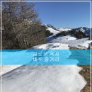 다물코퍼레이션 | 새로운 옥자 배우 줄거리 쿠키영상 넷플릭스 자동차 극장