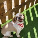 견사무소 호텔 유치원 이미지