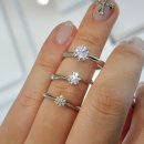 스텔라 | 강서 웨딩밴드 투어 라스텔라 방문 후기 강매 없는 친절 상담