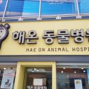 용호동물병원 이미지