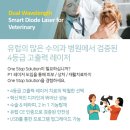 필동물병원