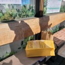 버스정류소_신촌오거리.현대백화점 이미지