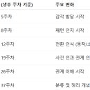 원더웍스 이미지