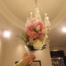 센텀호텔카카오트리 이미지