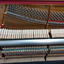 김은영음악학원 이미지