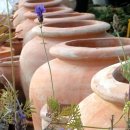 김양식농장 이미지