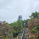 함양 대봉산 모노레일 탑승 및 상림숲 꽃무릇 탐방 이미지