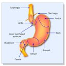 조한의원 이미지