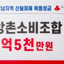 소비조합