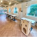 우리들애견 이미지