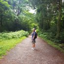 곶자왈칼국수 이미지