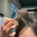 김지원헤어샵 | 대구 북구 미용실 부래미헤어 산격점 톤다운 염색 후기