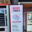 홍천밧데리 | 홍천 알파카월드 후기｜아이와 가볼만한 강원도 체험 여행지 입장료·먹이체험·운영시간·이용정보