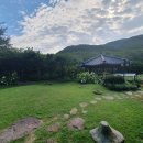 갤러리&펜션 풍경소리 이미지