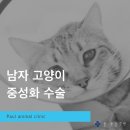 신현동물병원 네이버블로그