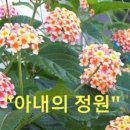 한주농장 이미지