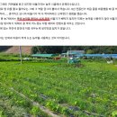 심다누그래스비프 이미지