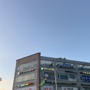 제로100PC | 아직 코엑스에 살아 🥹 (240903 데이식스 싱어롱/ 240905 데이식스 엠카 사녹 스탠딩 후기/팬즈)
