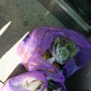 강촌강변오토캠핑장 이미지