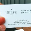퍼피랜드애견카페 이미지