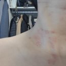 더샤인한스의원 이미지