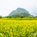 바이킹노래연습장 이미지