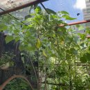 노엘농장 이미지