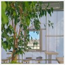 지에스(GS)25 수영팔도 이미지