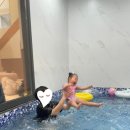 미지로여행세상 | 가평 라임키즈풀빌라 후기