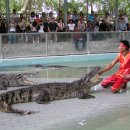 파타야B 이미지