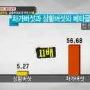 차가보약