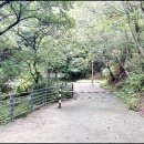 김해시 X-게임장 이미지