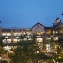 스타벅스시흥프리미엄아울렛(스타벅스시흥P아울렛) 이미지