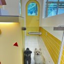 헬로우버디 광교점 이미지