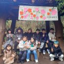 인제지역아동센터 이미지