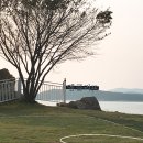 엠(M) 카페 이미지