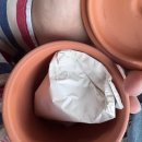 파트라슈 | [부산 반려동물 장례식장] 기장 파트라슈 가격 및 후기🌈✨