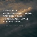 『화사집, 서정주 - 죽고 나서, 시작하는 시』 이미지