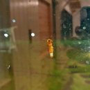 두모리에리조트 이미지