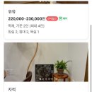 스테이우연 | 제주도 애월 감성숙소 추천 스테이우연