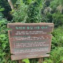 하루세끼부페 이미지