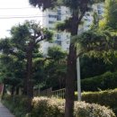 사상구선거관리위원회 이미지