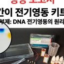 주식회사 영동테크