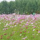 삼덕부동산중개 이미지