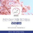 라라가구 | 천안 아산 카페 정기청소 라라클린 현장 후기