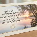 쉴만한 물가 | "이제 마지막 이예요!"ㅣ이혼 직전의 부부를 '쉴만한 물가'로 이끄신 하나님 (부부상담후기)