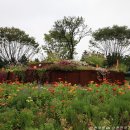 순천만국가정원 동문매점 이미지