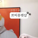 꼬망이펫샵