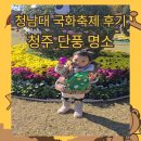 청남대 국화축제 코스 및 후기 / 청주 단풍 명소 추천